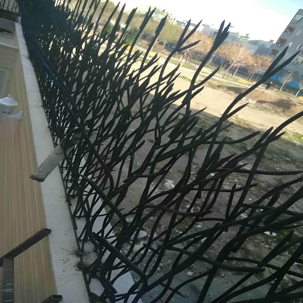 کارخانه حفاظ شاخ گوزنی نوک تیز در سنندج