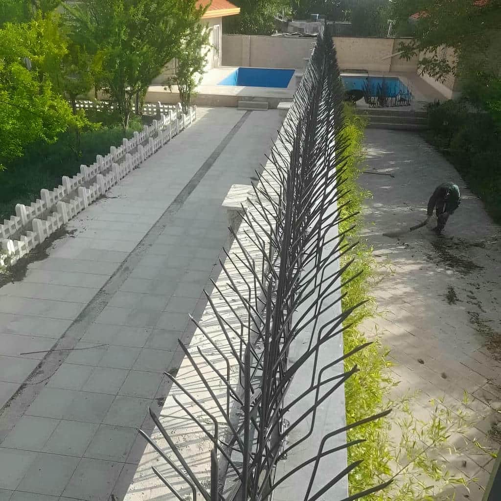 قیمت حفاظ شاخ گوزنی ارتفاع متنوع در سیرجان