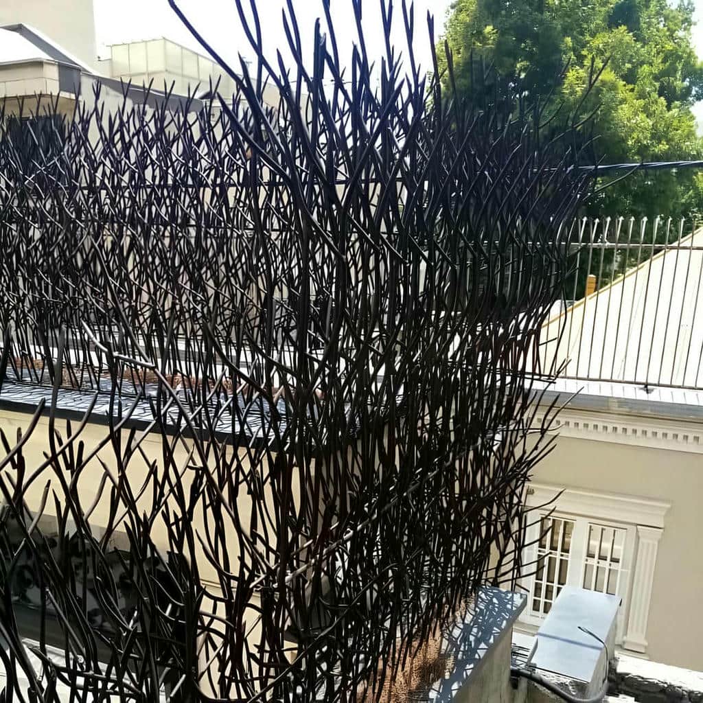 حفاظ شاخ گوزنی در محمدشهر
