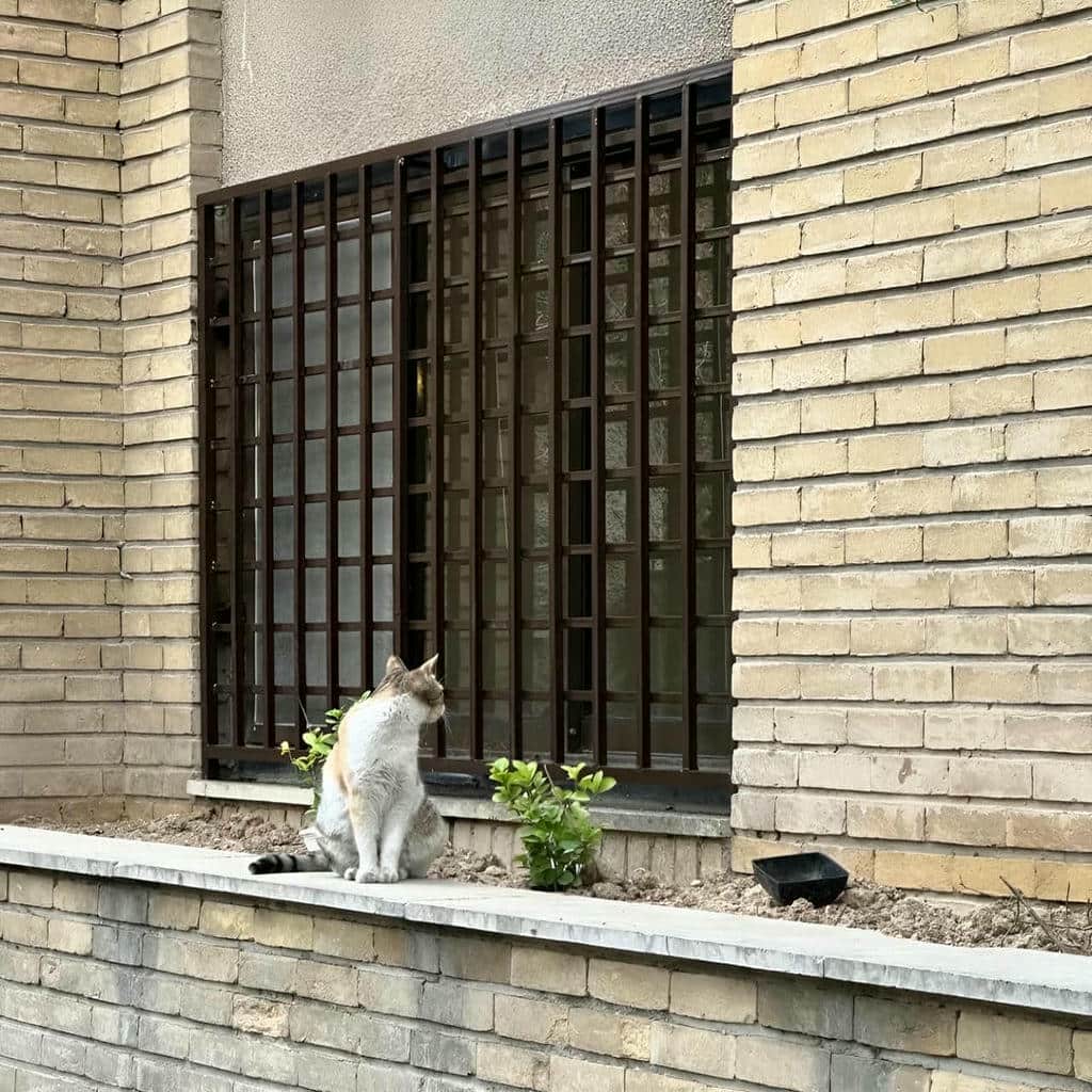 حفاظ پنجره در کیش