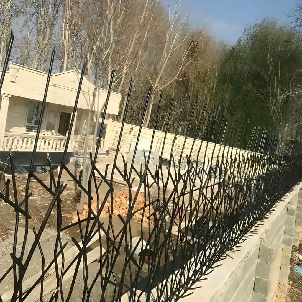 حفاظ شاخ گوزنی با نصب اصولی روی دیوار ساختمان