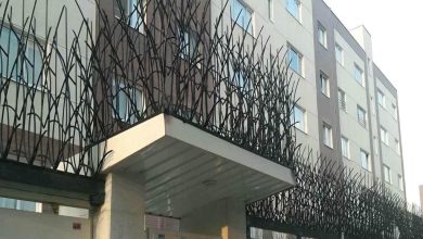 حفاظ شاخ گوزنی خار دار برای دیوارهای ایمن
