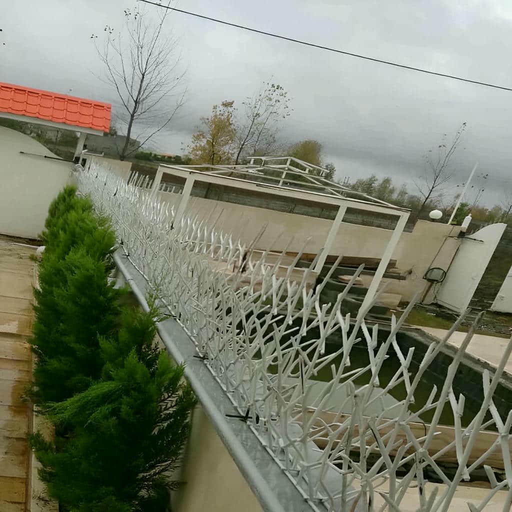 حفاظ شاخ گوزنی خار دار با جوشکاری تمیز شاخه ها