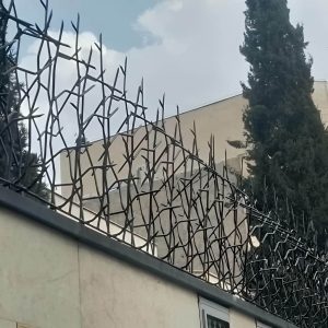 مقایسه حفاظ شاخ گوزنی و سرنیزه ای برای انتخاب بهتر