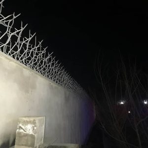 حفاظ روی دیوار مناسب برای خانه، ویلا و باغ