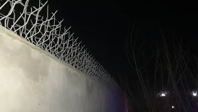 حفاظ روی دیوار مناسب برای خانه، ویلا و باغ