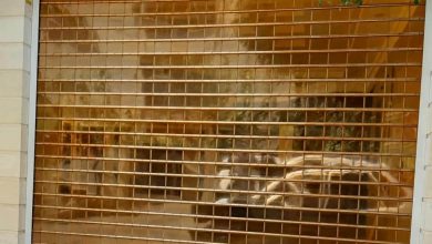 12 طرح کرکره برقی رنگی نمای فروشگاه