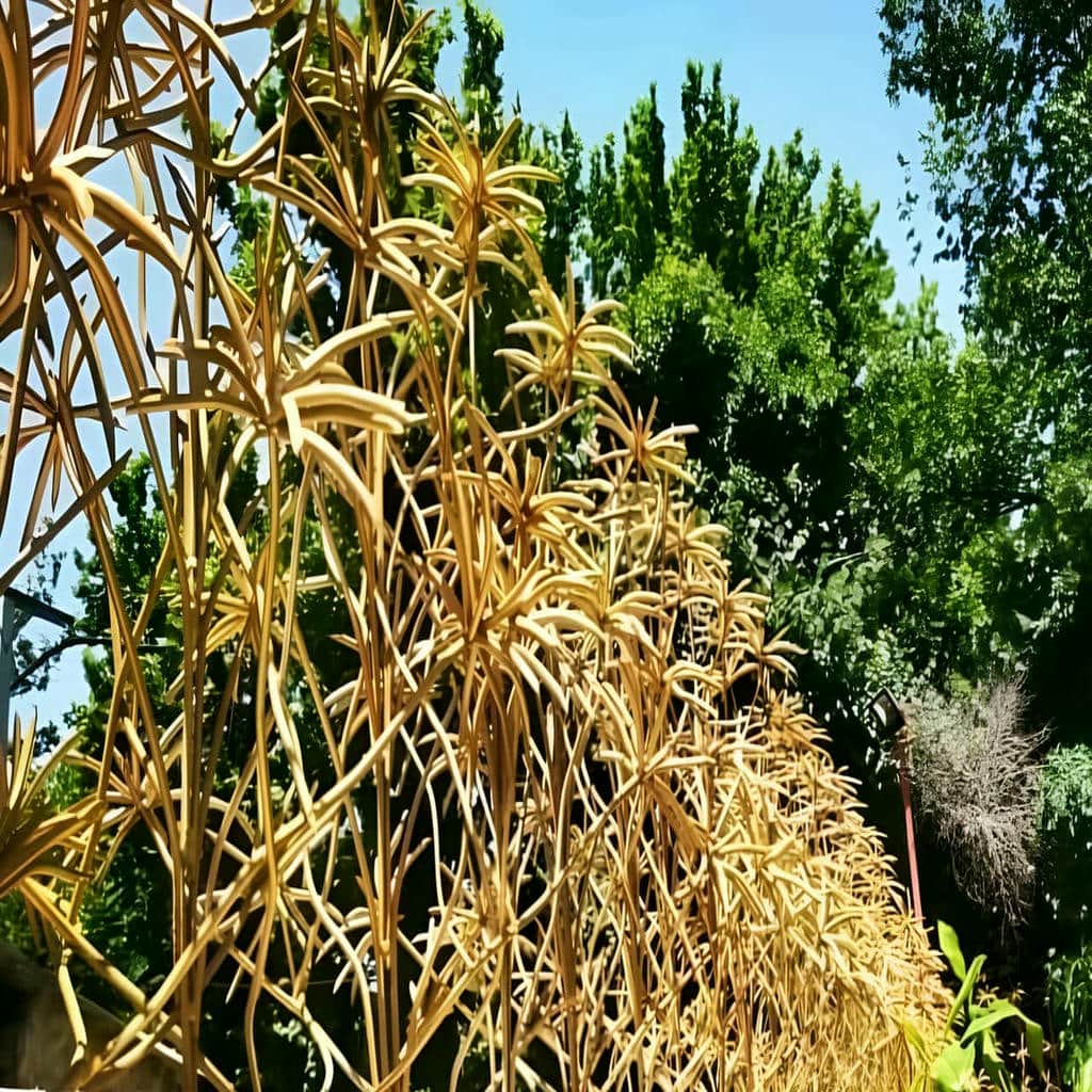 حفاظ دیوار
