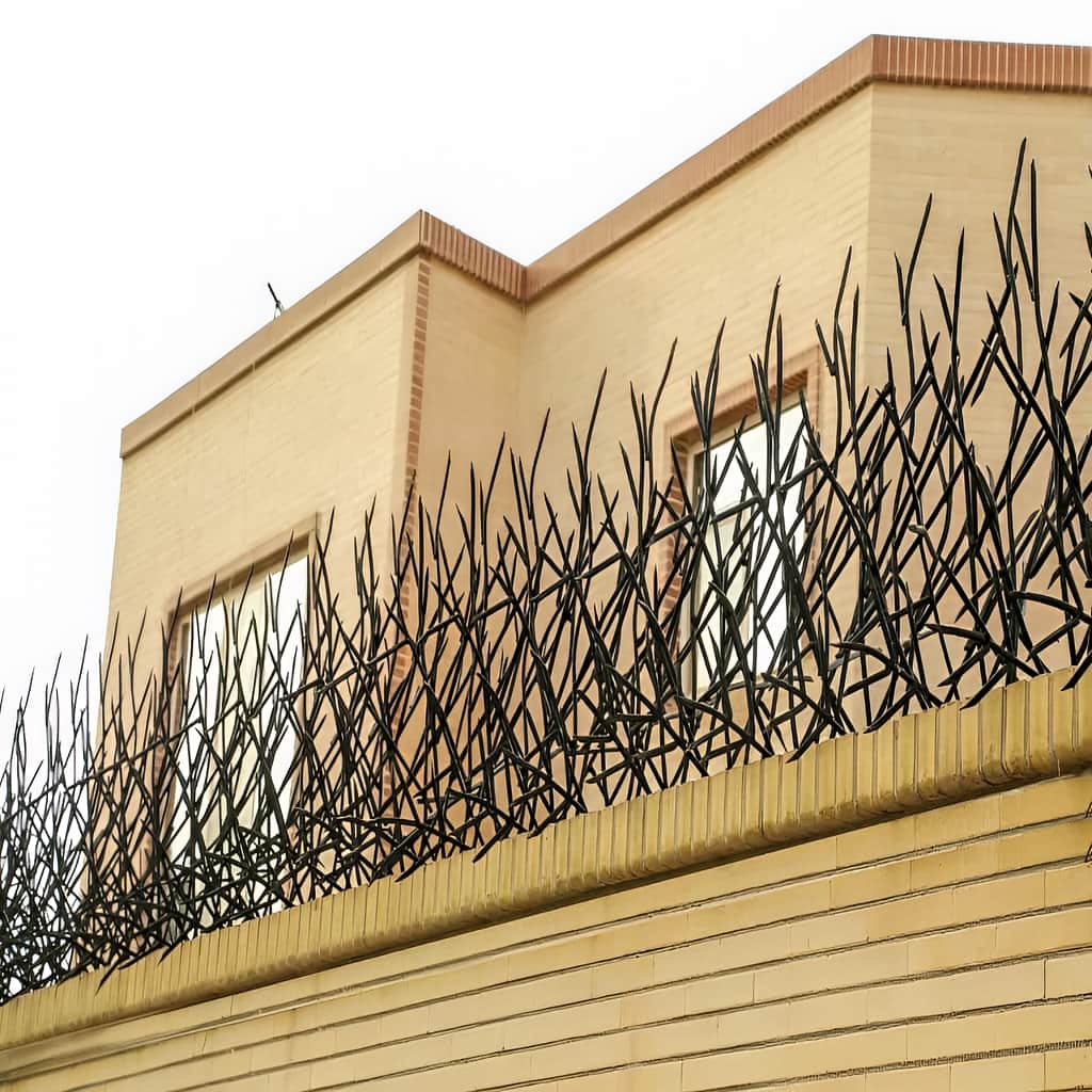 حفاظ بوته ای با پوشش مقاوم حفاظ بوته ای با پوشش مقاوم