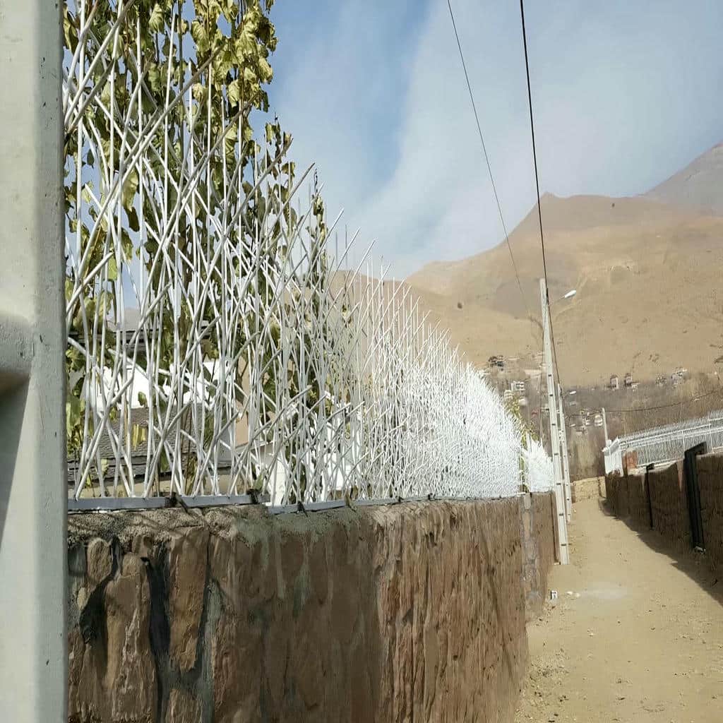 حفاظ دیوار اهواز مدل شاخ گوزنی فلزی
