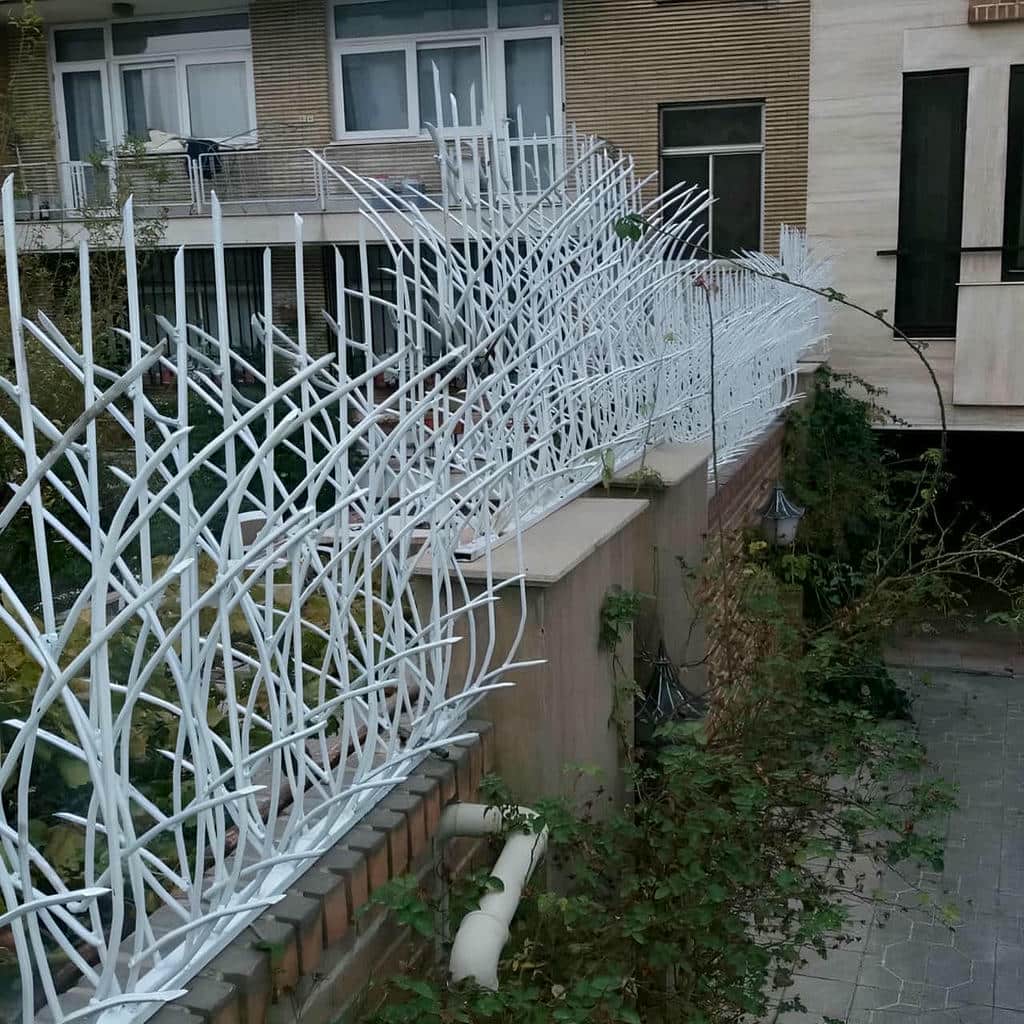 حفاظ شاخ گوزنی استان یزد نمای ساختمان