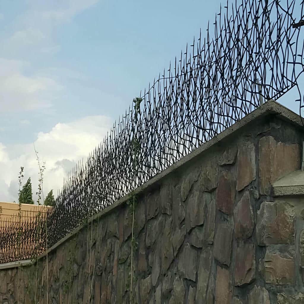 حفاظ شاخ گوزنی کرج نمای ساختمان