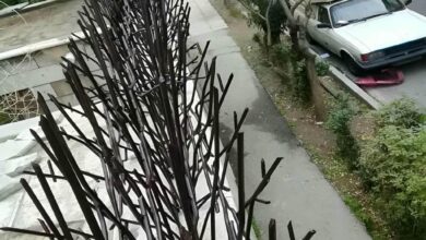 حفاظ دیوار استان تهران مدل شاخ گوزنی فلزی