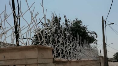 حفاظ دیوار استان خراسان رضوی مدل شاخ گوزنی فلزی