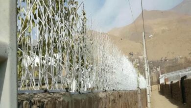 حفاظ دیوار اهواز مدل شاخ گوزنی فلزی