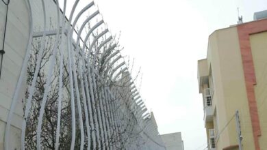 حفاظ دیوار زاهدان مدل شاخ گوزنی فلزی