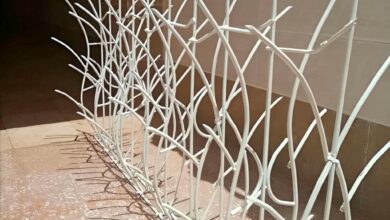 حفاظ دیوار شاخ گوزنی استان البرز با پوشش رنگی