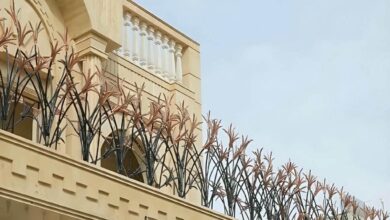 حفاظ دیوار فلزی با طرح شاخ گوزنی در استان سیستان و بلوچستان